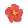 Fleur hibiscus rouge pour cheveux