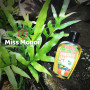 Monoi after sun Tevi Tahiti aloé 120ml