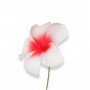Flor cor-de-rosa para o cabelo