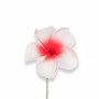 Grátis - Flor cor-de-rosa para o cabelo