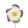 Free - Black hibiscus flower for hair