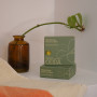 Pack Shampoing solide pratique