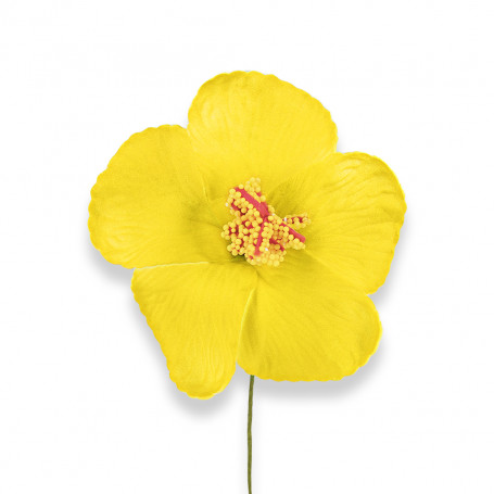 Fleur hibiscus jaune pour cheveux