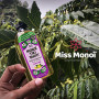 Monoï Tiki Tahiti Ylang Ylang 120ml