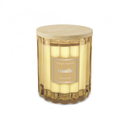 Vanilla Plant Candle 50h