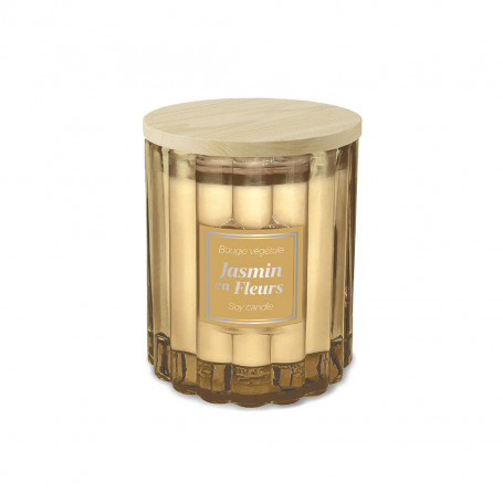 Blooming Jasmine Plant Candle 50h