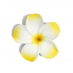 Complimentary - Hair flower