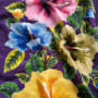 Grand Paréo Violet Prune 4 Hibiscus Peint à la Main