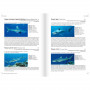 Guide des Poissons de Tahiti et ses iles
