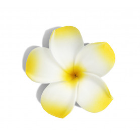 Blume für Haare