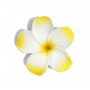 Blume für Haare