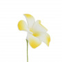 Blume für Haare