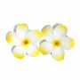 Embalagem de Monoi com flores