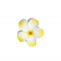 Envase de ylang ylang esencial de Monoi