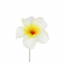 Gelbe Blume für Haare