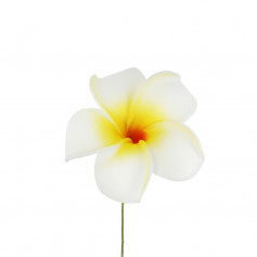 Fleur Jaune pour cheveux