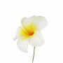 Gelbe Blume für Haare