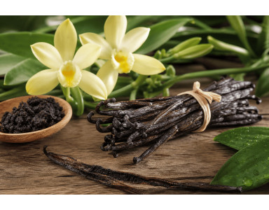 Tout savoir sur la vanille de Tahiti