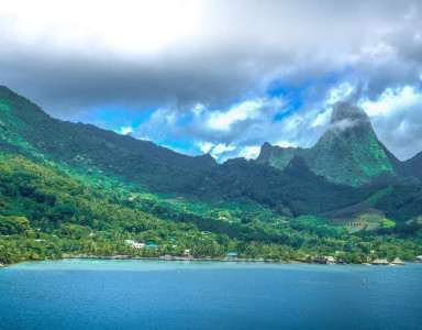 Le monoï de Tahiti, une appellation d’origine contrôlée