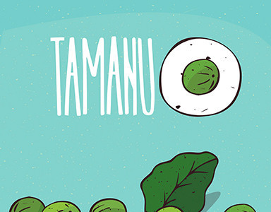 Comment utiliser l’huile de Tamanu ?